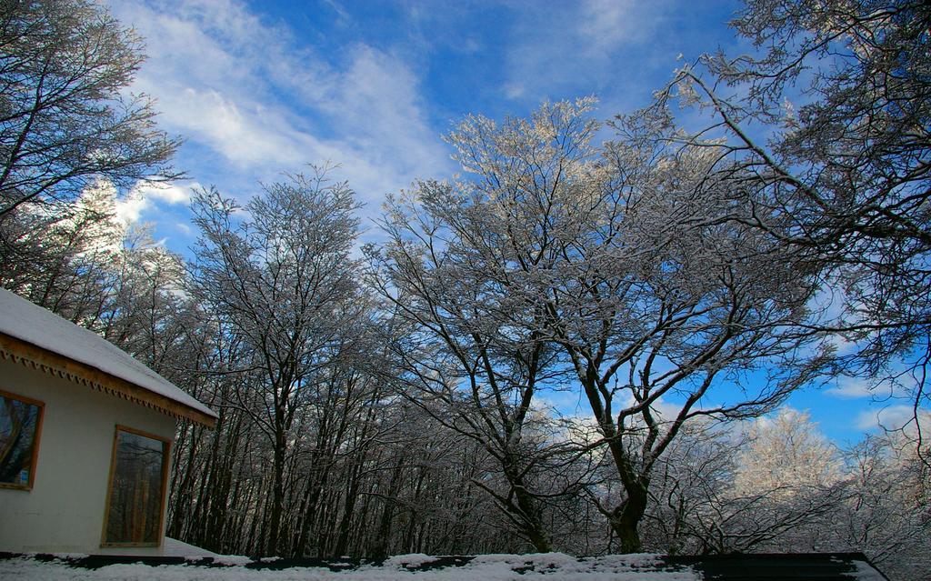 Familia Piatti B&B - Suites Ushuaia Buitenkant foto